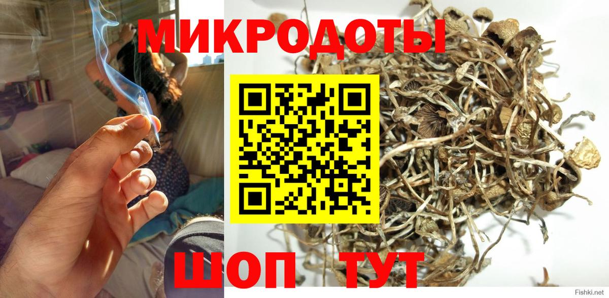 Псилоцибиновые грибы ЛСД Костомукша